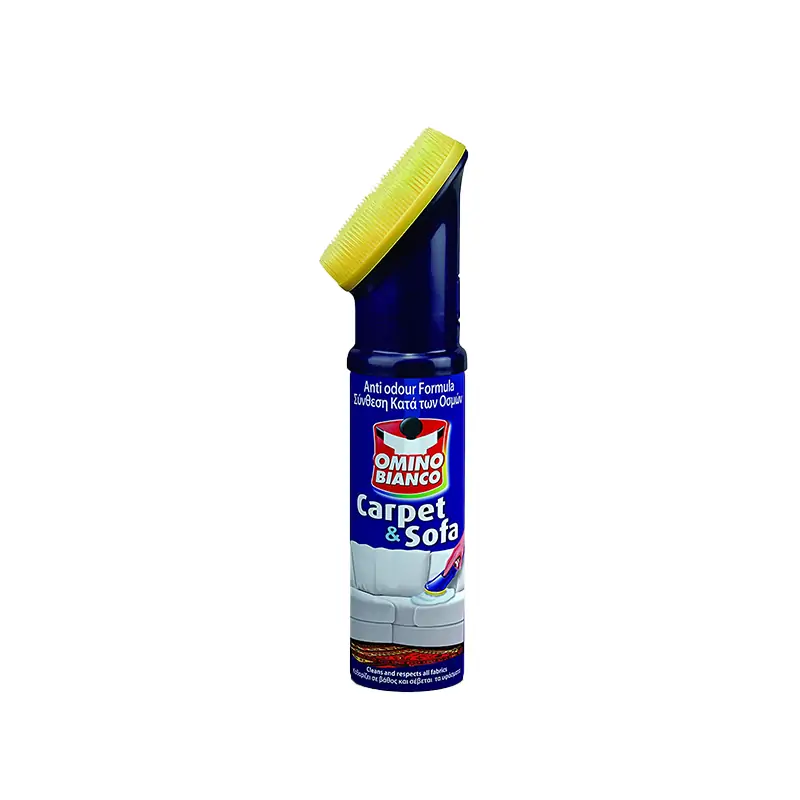 carpet and couch cleaner