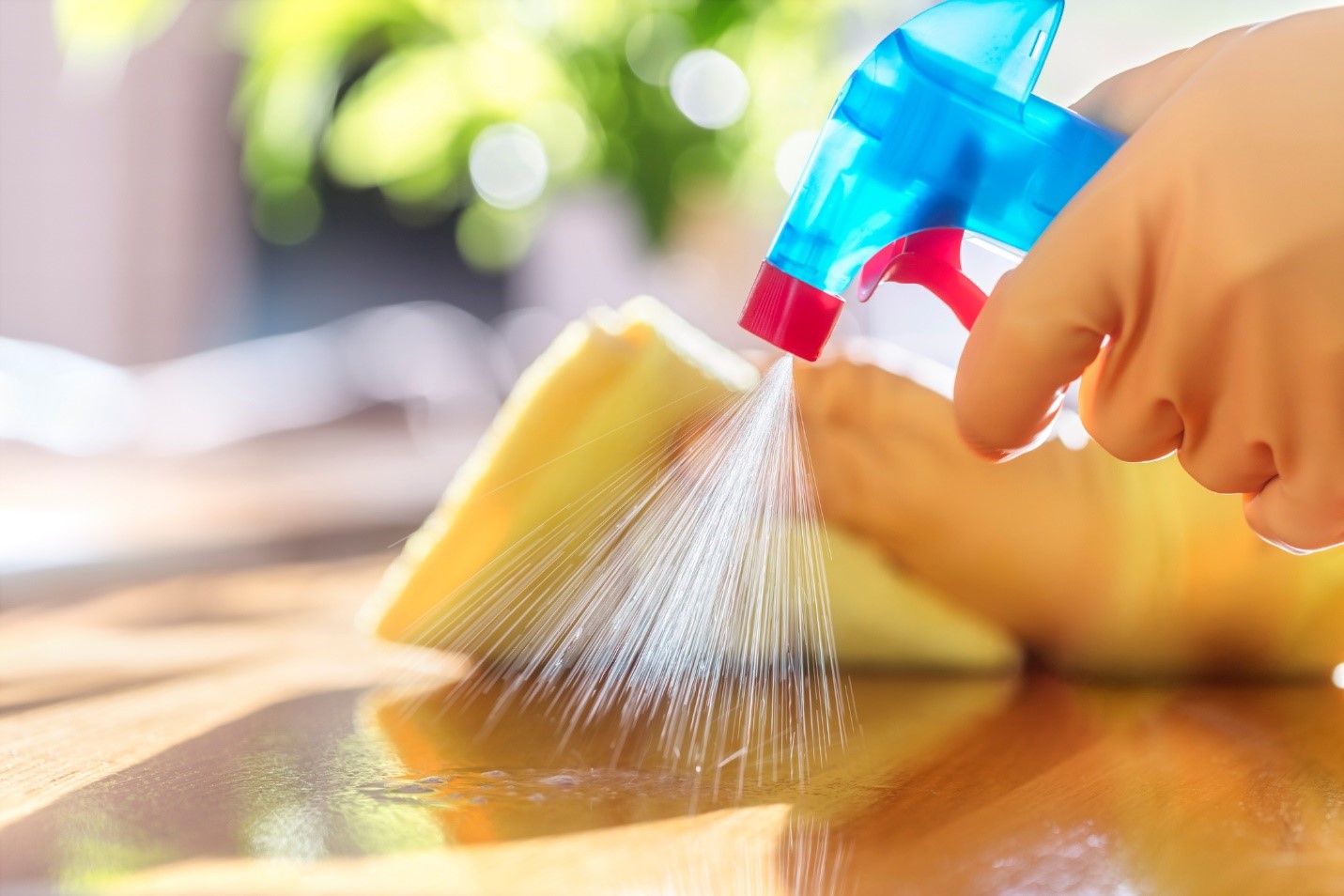 Make Your Home Infection-Free with Effective Cleaning