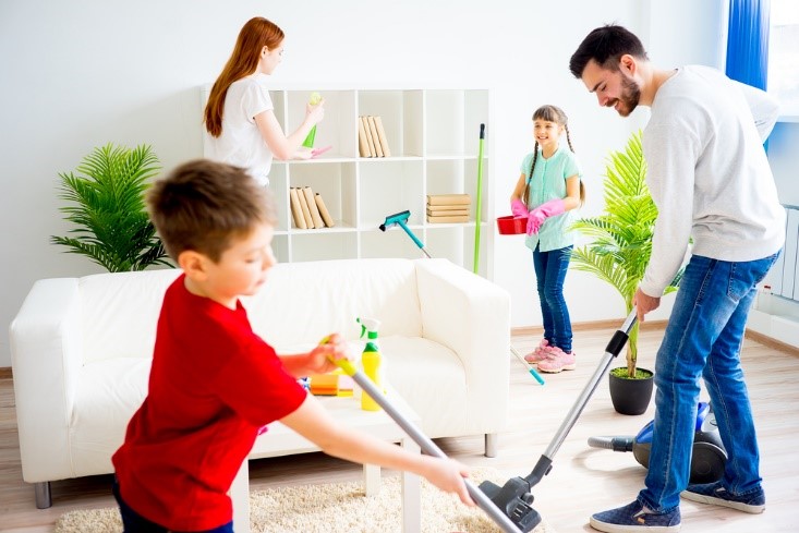 Essential Household Cleaning Products for Your Home