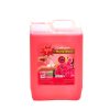 aqua bulk hand wash 5ltr