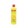 DISH WASH BEST CLEAN 500ml x 25pcs