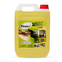 Klean-X bulk multi purpose cleaner