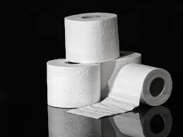 Importance of using plastic- free toilet paper