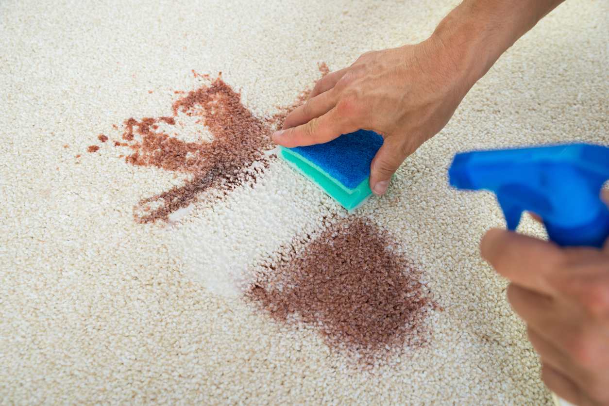 5 Best Carpet Stain Removers To Remove Grease, Blood and Wine Stains