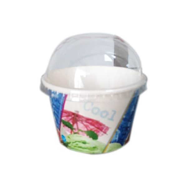 plastic ice cream container