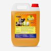 SC-20 Lemon Disinfectant Can